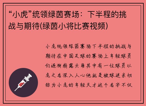 “小虎”统领绿茵赛场：下半程的挑战与期待(绿茵小将比赛视频)