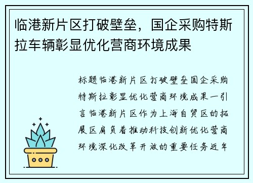 临港新片区打破壁垒，国企采购特斯拉车辆彰显优化营商环境成果
