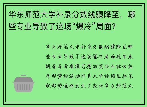 华东师范大学补录分数线骤降至，哪些专业导致了这场“爆冷”局面？